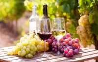 Trece vinos canarios premiados en el XXII Concurso Internacional Bacchus 2024