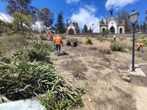 El Ayuntamiento recupera las vistas del Cementerio Parroquial de Tunte