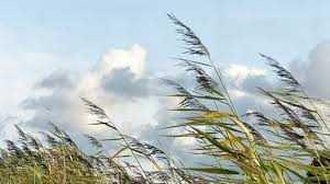 Telde ruega precaución a la ciudadanía ante la situación de alerta por vientos y fenómenos costeros adversos