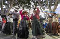 Las escuelas artísticas de Mogán, Arucas y San Bartolomé de Tirajana exhiben su folclore