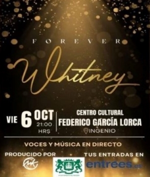 ‘Forever Whitney’: un viaje inolvidable por la carrera musical de toda una Leyenda