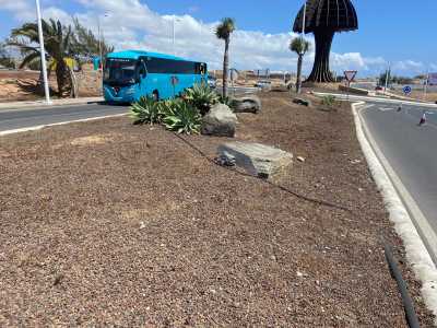 Parques y Jardines ejecuta trabajos de limpieza y mantenimiento en la mediana del vial costero