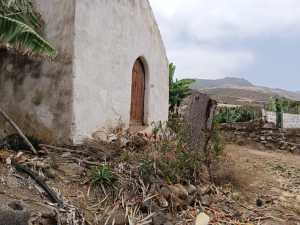 El Ayuntamiento denuncia la tala de un drago junto a la antigua ermita de San Marcos