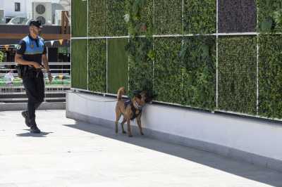 La Unidad Canina de la Policía Local de Mogán planta cara al menudeo de droga
