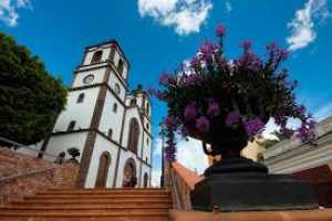 Noticias de Ingenio