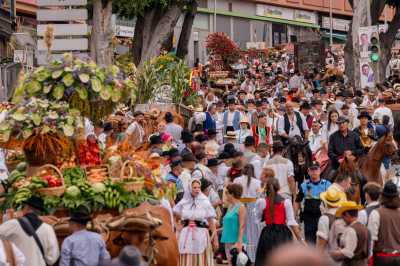 Gáldar espera este sábado a miles de personas en la Romería Ofrenda a Santiago