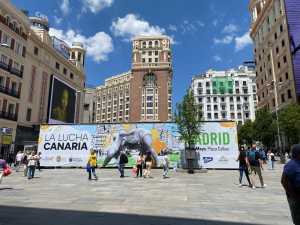 El Mes de Canarias se traslada a Madrid con la primera Gran Luchada oficial y la VIII Romería Canaria