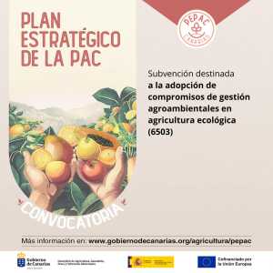 El Gobierno de Canarias convoca las subvenciones del PEPAC para compromisos de gestión agroambientales en agricultura ecológica