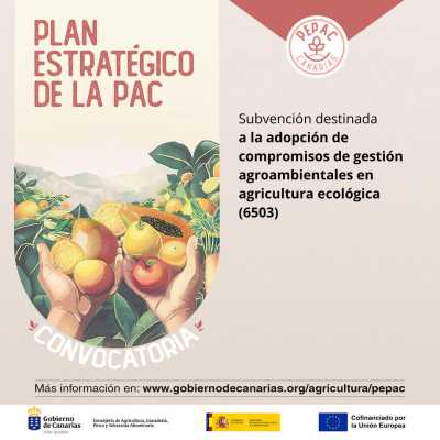 El Gobierno de Canarias convoca las subvenciones del PEPAC para compromisos de gestión agroambientales en agricultura ecológica