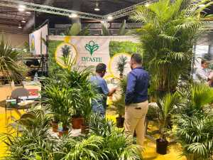 Las empresas de horticultura de Canarias esperan superar los 300.000 € de cifra de negocio en Iberflora