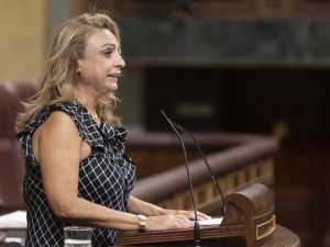 Valido exige al Ministerio de Agricultura reforzar los controles fitosanitarios en puertos y aeropuertos frente a las plagas