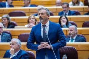 San Ginés denuncia en el Senado que el Gobierno central ocultó información sobre el MV Hondius y acusa a García y Torres de "deslealtad intolerable"