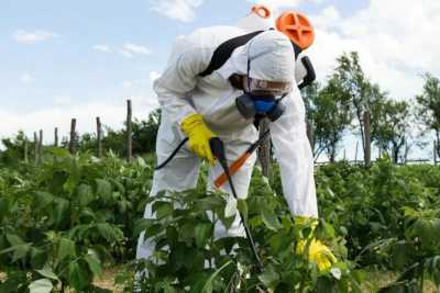 La Mancomunidad organiza un curso de manipulador de productos fitosanitarios