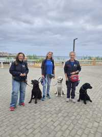 Telde consolida el primer PFAE de adiestramiento canino de Europa, una iniciativa pionera con impacto laboral y social