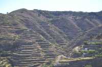 Gáldar invita a descubrir el paisaje y el celaje que se encuentra dentro del espacio del Paisaje cultural de Risco Caído y Montañas Sagradas de Gran Canaria en dos actividades únicas