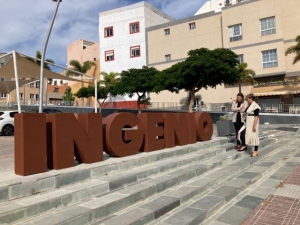 Con la colocación de las letras “Ingenio” culmina la actuación de embellecimiento de zonas verdes en la villa