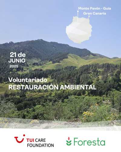 Foresta realiza una jornada de voluntariado para la restauración ambiental en Monte Pavón, en los Altos de Guía de Gran Canaria