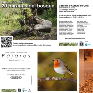 Noviembre Forestal 2022 visita Guía con las exposiciones ‘Pájaros’ y ’20 Miradas del bosque’