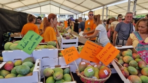 La V Feria del Mango y Aguacate de Verano de Mogán supera todas las expectativas
