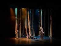 Teatro Meridional estrena con carácter nacional en el Festival Teatral Tres Continentes, ‘Lo que sueña un perro’