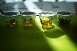 El Gobierno de Canarias convoca el Concurso Oficial de Aceite de Oliva Virgen Extra Agrocanarias 2026