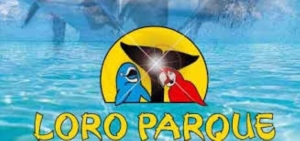 Loro Parque celebra el X Congreso Internacional de Papagayos de Tenerife