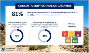 El Gobierno de Canarias publica el informe  de implantación de los Objetivos de Desarrollo Sostenible en las empresas canarias