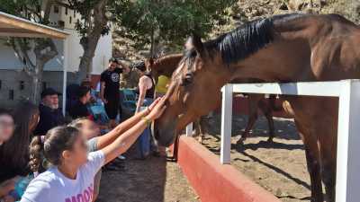 Más de un centenar de vecinos de Mogán celebran el Día de la Familia entre caballos