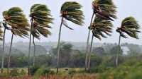 El Gobierno de Canarias finaliza la prealerta por viento en las islas