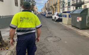 El Ayuntamiento informa que este sábado se  realizará el mantenimiento de la arboleda en la calle Conde de la Vega Grande y León y Castillo