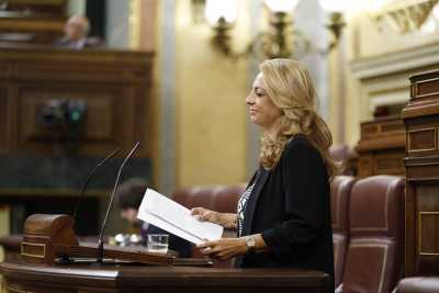 El Congreso respalda la iniciativa de Valido para reconocer el título de familia numerosa en custodias compartidas
