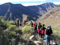 San Bartolomé vuelve a caminar