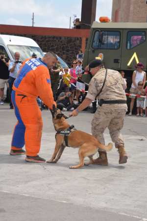 Jornadas de Actividades en Las Palmas de Gran Canaria para celebrar el Día de las Fuerzas Armadas