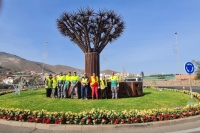 Parques y Jardines planta 4.000 flores de Pascua para embellecer el municipio por Navidad