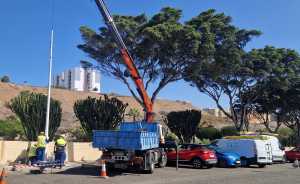 Alumbrado Público inicia la segunda fase de reposición de las farolas en Eucaliptos II