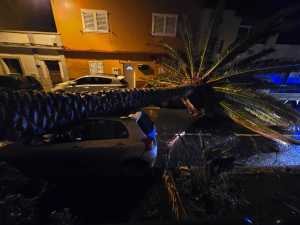 Telde atiende cerca de 300 incidencias causadas por la borrasca Emilia durante el fin de semana