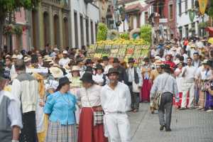 La 72º Romería-Ofrenda del Pino se celebra mañana congregando en Teror a toda Gran Canaria