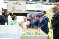 Canarias triplicó los envíos de aguacate al mercado peninsular y extranjero en 2024