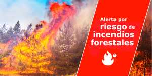 El Gobierno declara la alerta por riesgo de incendios forestales en las islas occidentales y Gran Canaria
