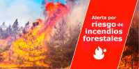 El Gobierno declara la alerta por riesgo de incendios forestales en las islas occidentales y Gran Canaria