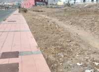 Servicios Municipales intensifica las labores de limpieza y adecentamiento en La Vega y El Contrapeso