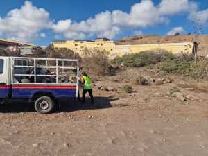 El Ayuntamiento de Telde refuerza la limpieza en zonas rurales con un plan especial que ya actúa en Lomo La Caldera