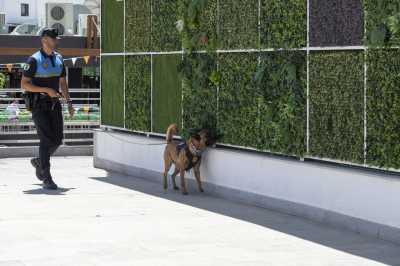 La Unidad Canina de la Policía Local de Mogán detiene a un hombre con drogas en Arguineguín