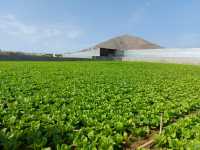 Juntos por Guía logra la defensa unánime del sector primario frente al acuerdo de Mercosur en el Pleno municipal de Guía