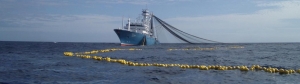 Clavijo reclama ayudas para los 18 atuneros canarios excluidos del grupo que les corresponde para faenar