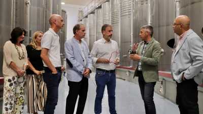 La Bodega Comarcal Valle de Güímar se consolida como una de las empresas vitivinícolas más laureadas de Canarias