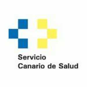 Sanidad informa de la situación de los afectados por el accidente de guagua en La Gomera